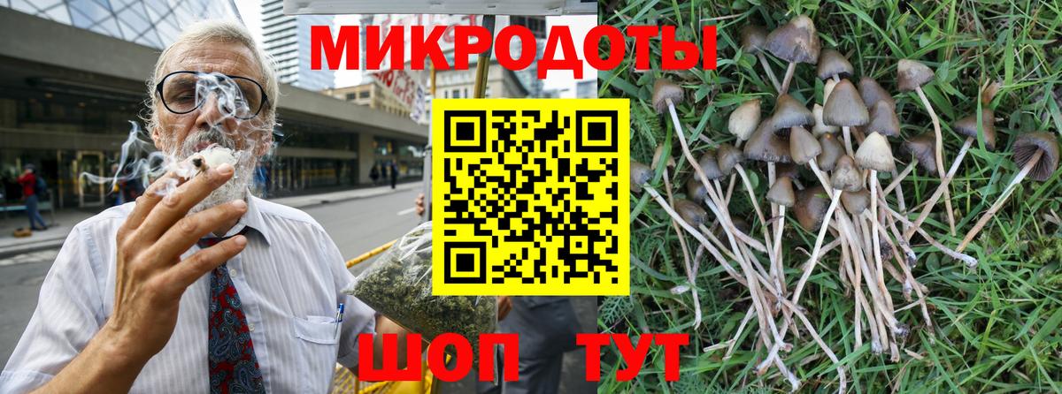 Галлюциногенные грибы MAGIC MUSHROOMS  Псилоцибиновые грибы мухоморы  Тайшет  Вход с VPN 